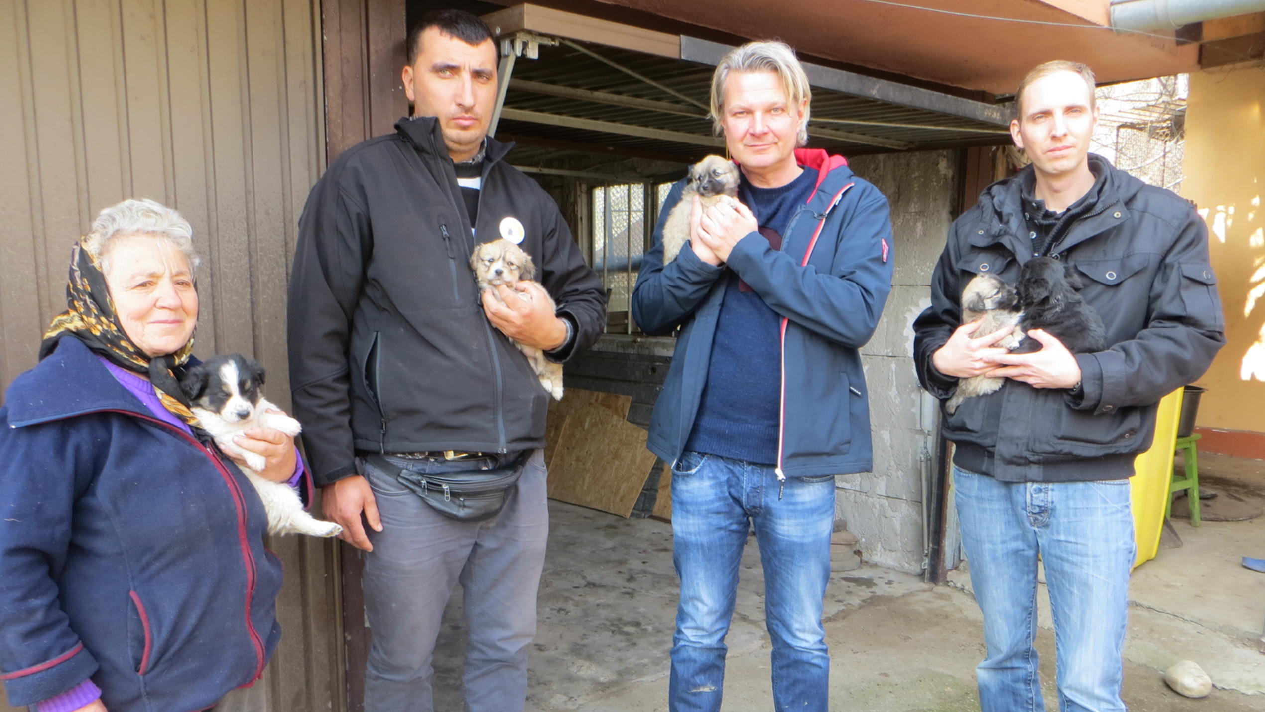 hundkatzemaus: Tierschutzexperte Frank Weber hilft Welpen in Rumänien hundkatzemaus: Tierschützer Frank Weber sammelt in Rumänien um verwaiste Hundewelpen.