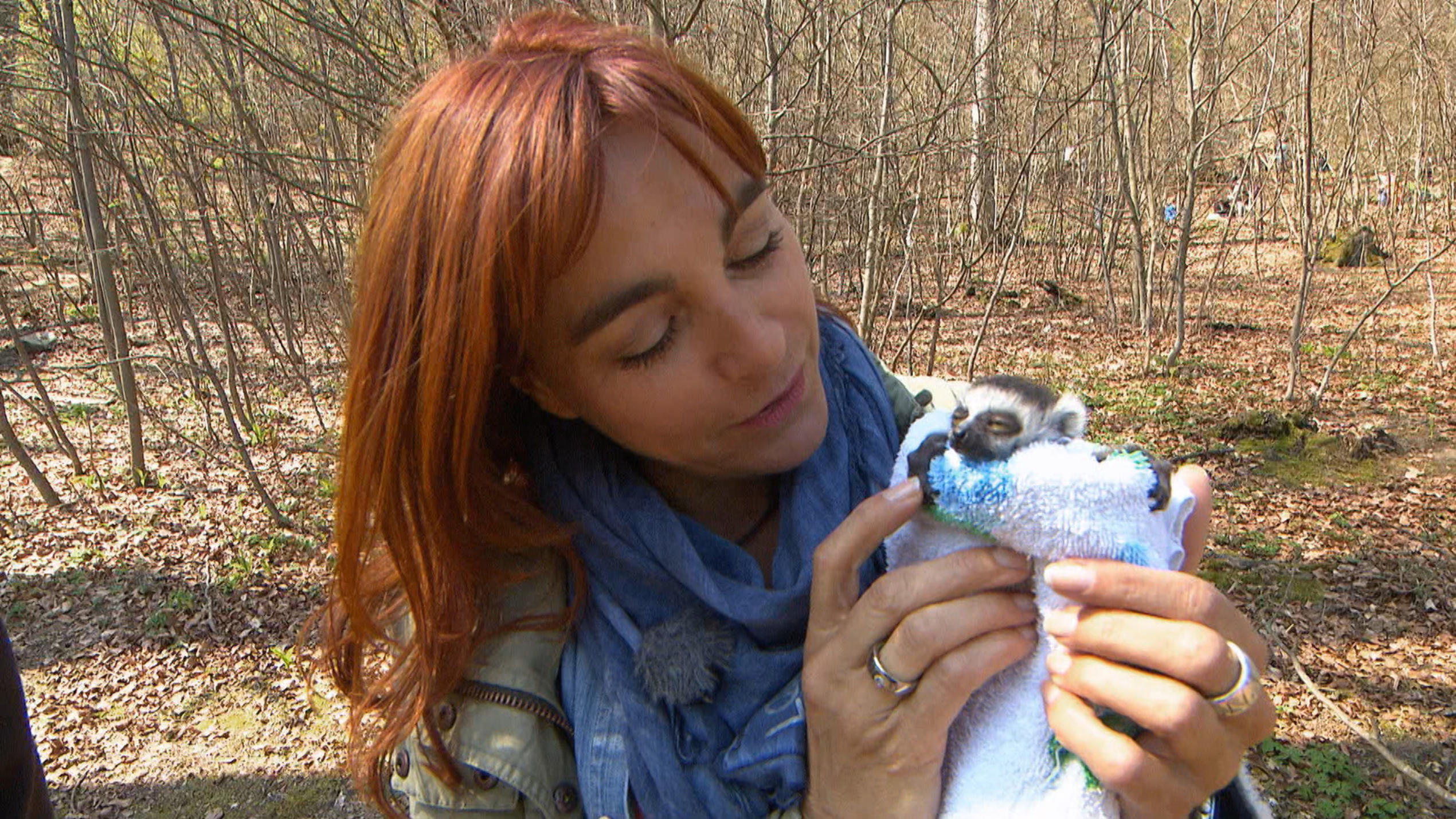 hundkatzemaus: Diana Eichhorn hilft bei einer Katta-Vergesellschaftung hundkatzemaus-Reporterin Diana Eichhorn