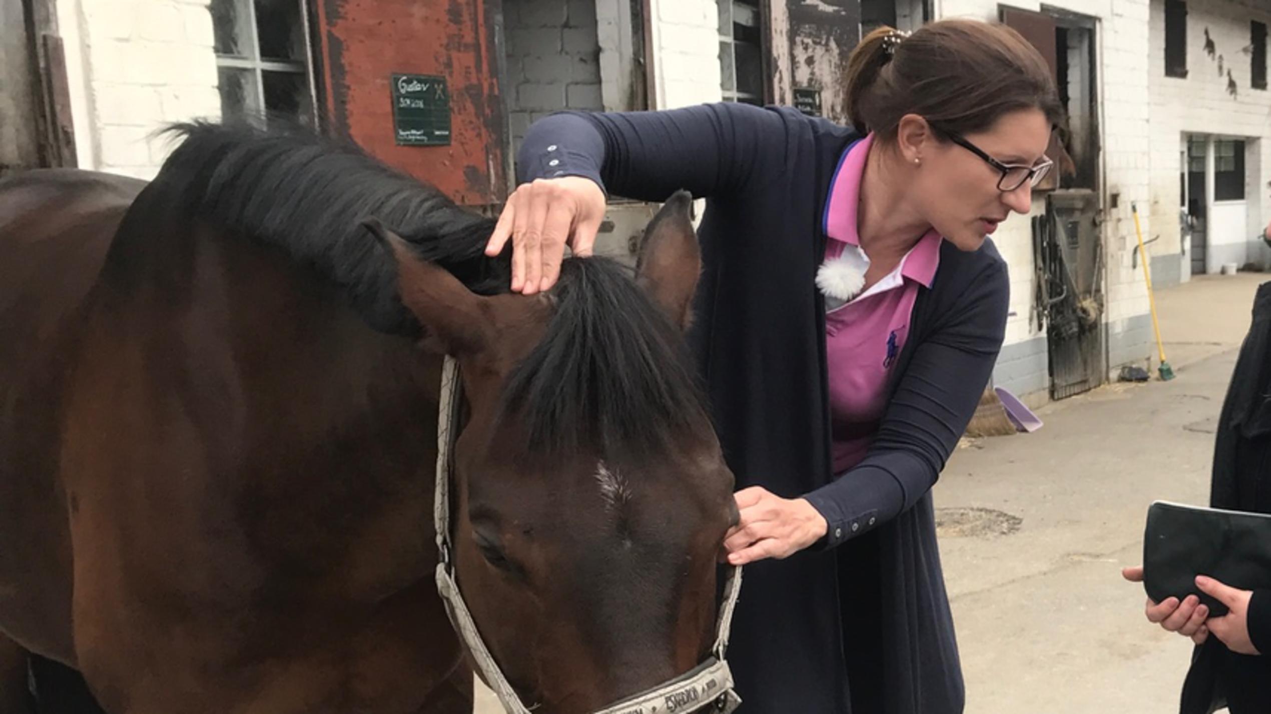 hundkatzemaus: Tier-Physiotherapeutin Katrin Obst im Einsatz Katrin Obst