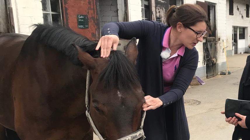 hundkatzemaus: Tier-Physiotherapeutin Katrin Obst im Einsatz Katrin Obst