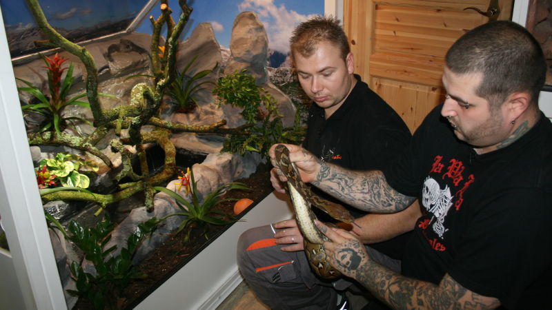 Giftschlangen-Umzug Terrarienbauer Steffen Möller (l.) und Schlangenliebhaber Tanio Ippolito (r.). Foto: VOX/Christian Neumann