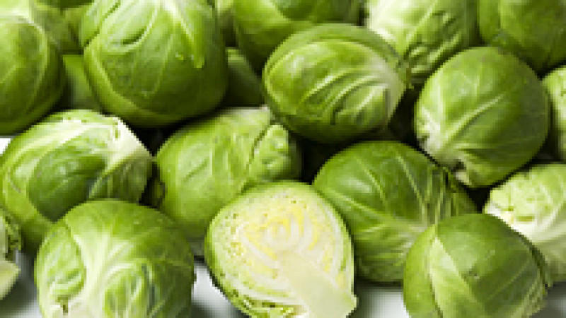 Rosenkohl Rosenkohl
