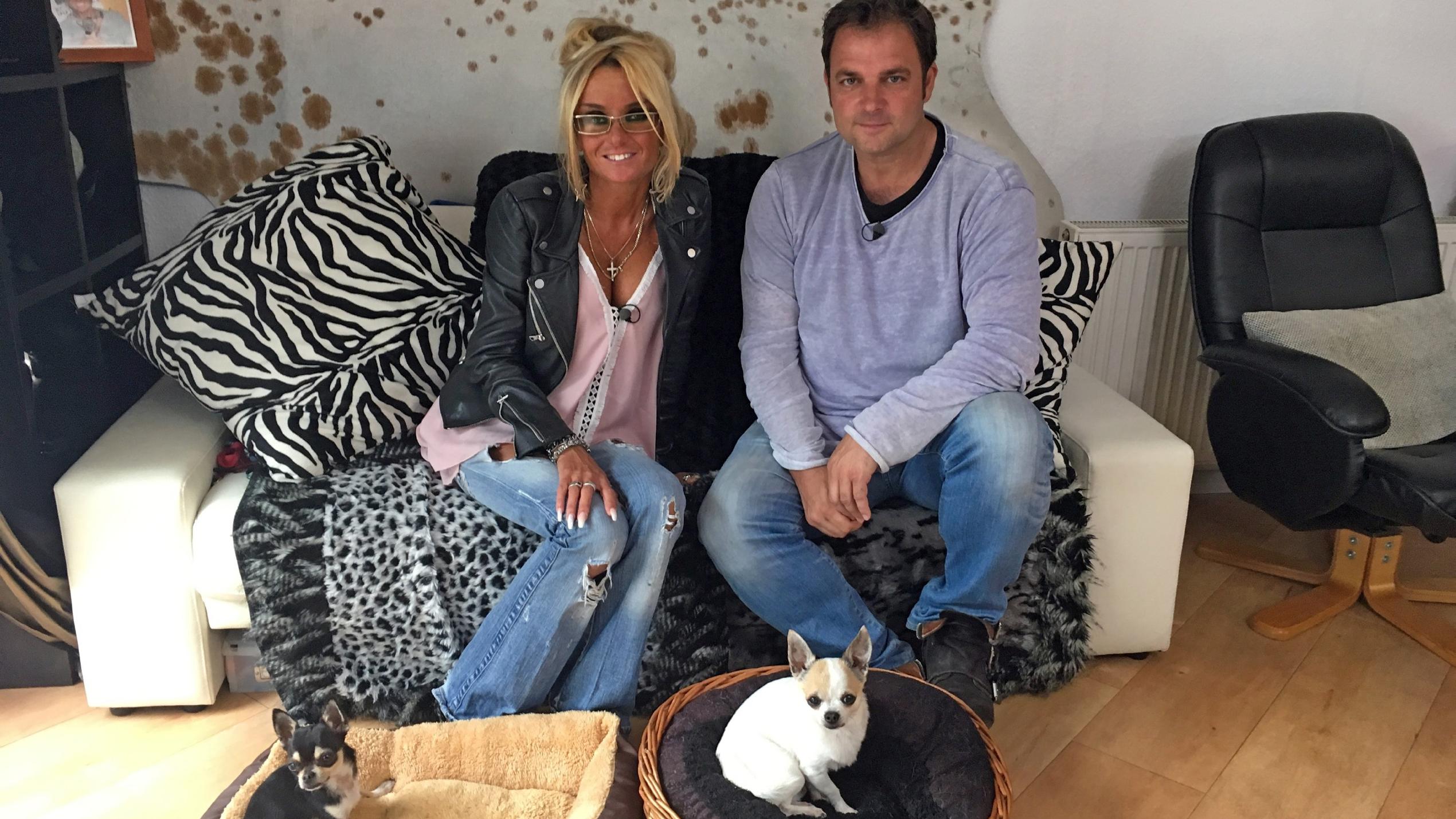 Der Hundeprofi: Martin Rütter macht Frauchen eine klare Ansage Der Hundeprofi: Martin Rütter mit Adriana und den beiden Chihuahuas Gino und Mino