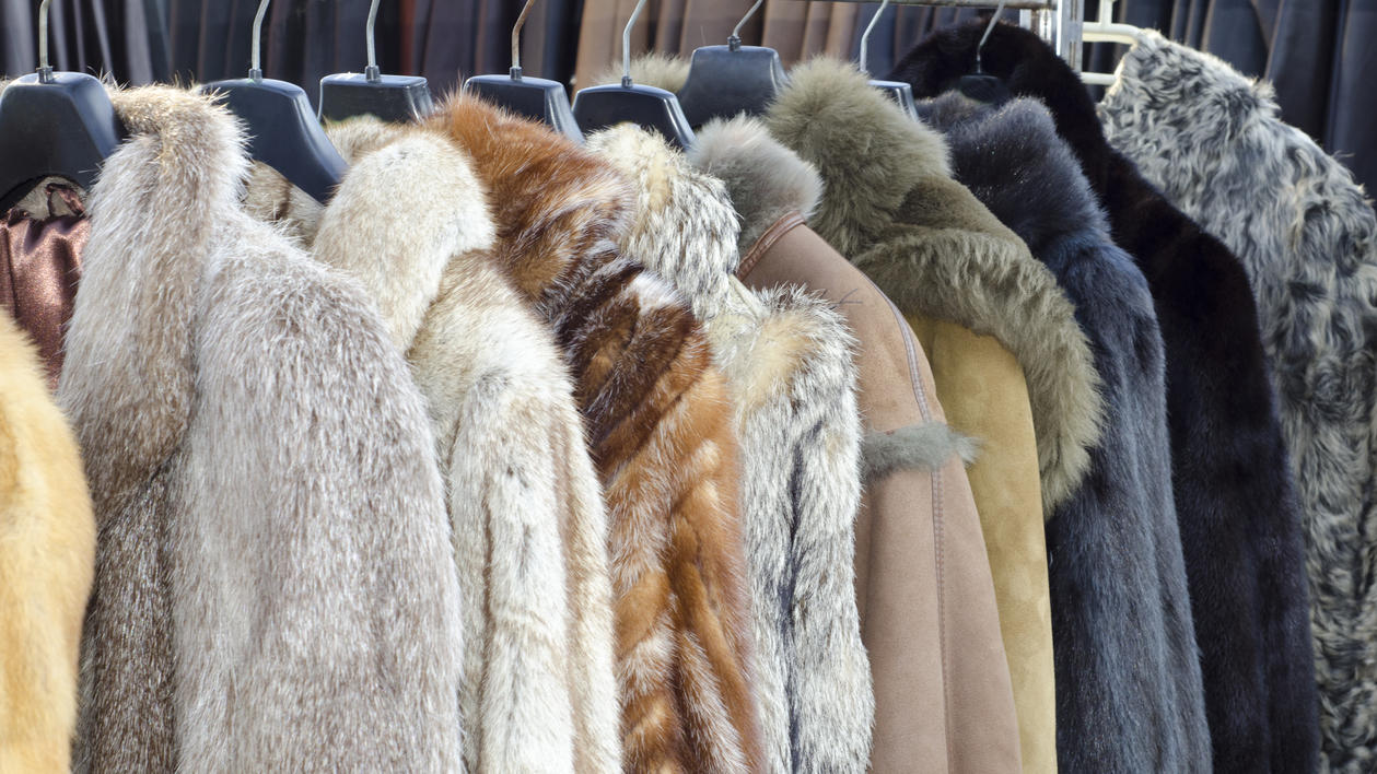 Fashion Lexikon: Fake-Fur Palette aus Fake-Fur-Mänteln