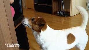 Concetta füttert Rocky auch mal Fastfood Concetta füttert Rocky auch mal Fastfood