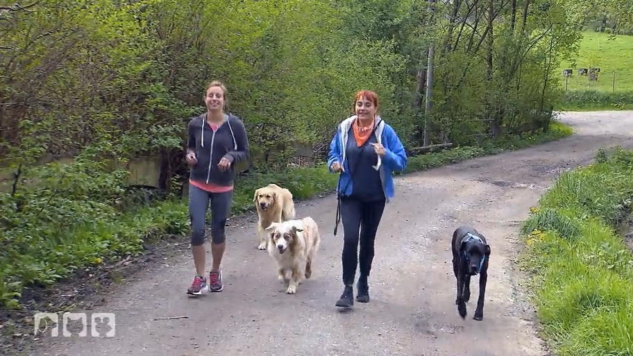 Joggen mit Hund Joggen mit Hund