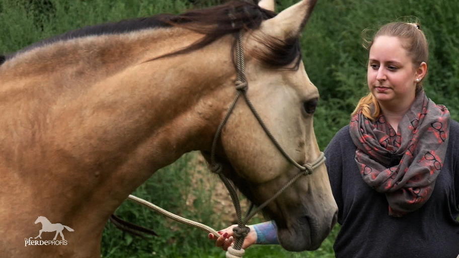 Aber lässt sich der störrische Wallach auch reiten? Aber lässt sich der störrische Wallach auch reiten?