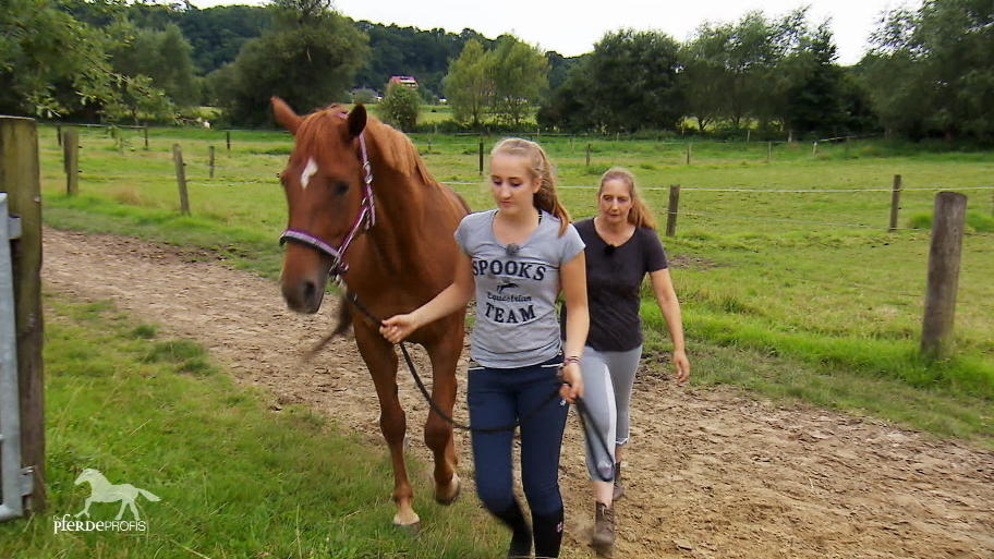 Emmy Lou darf bei ihrer Besitzerin bleiben Emmy Lou darf bei ihrer Besitzerin bleiben