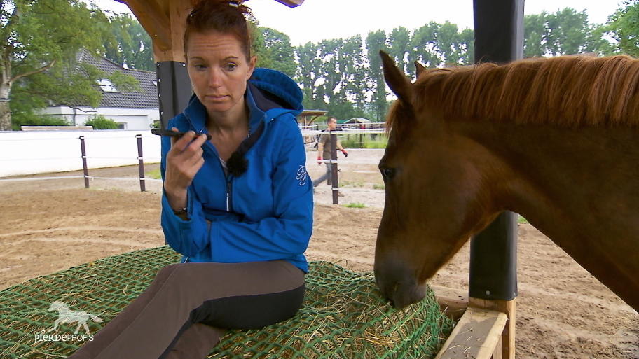Traurige Nachrichten für Emmy Lous Besitzerin Traurige Nachrichten für Emmy Lous Besitzerin