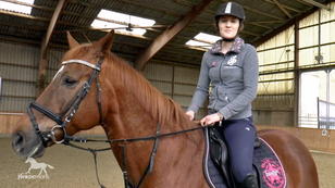 Fuchsstute Emmy Lou lässt sich nicht mehr reiten Fuchsstute Emmy Lou lässt sich nicht mehr reiten