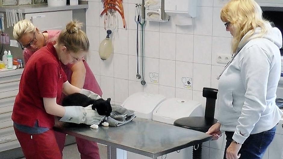 Dr. Uta Rönneburg hat einen Verdacht Dr. Uta Rönneburg hat einen Verdacht
