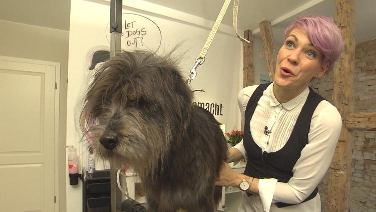 Franziska kann Berrys langes Fell erhalten Franziska kann Berrys langes Fell erhalten