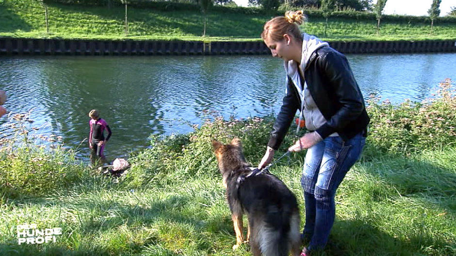 Apportiertraining mit Mailo am Wasser Apportiertraining mit Mailo am Wasser