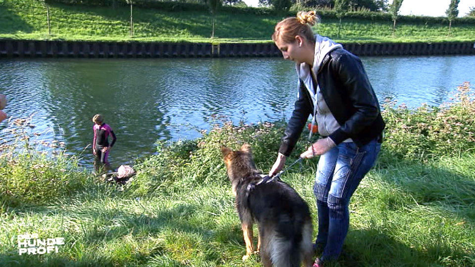 Apportiertraining mit Mailo am Wasser Apportiertraining mit Mailo am Wasser