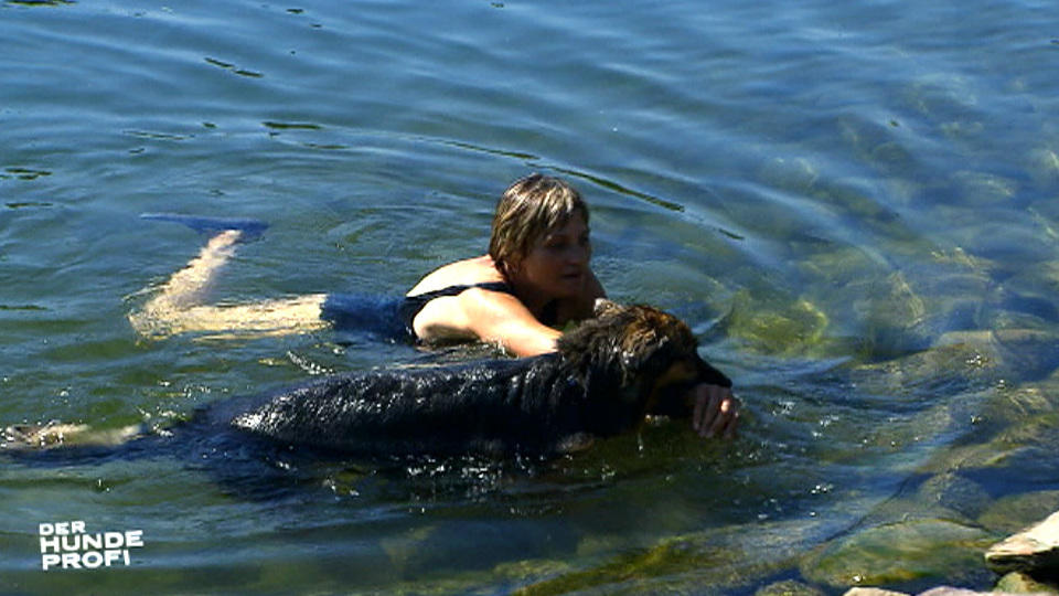 Mailo will alle Schwimmer "retten" Mailo will alle Schwimmer "retten"