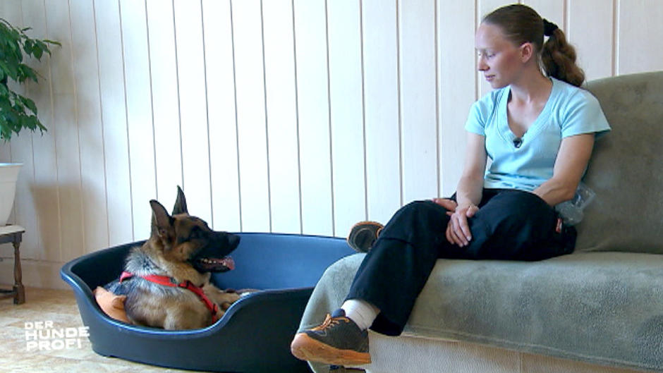 Unterstützung für Hundeprofi Martin Rütter Unterstützung für Hundeprofi Martin Rütter