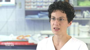 Nadine Saturnus kann vorerst Entwarnung geben Nadine Saturnus kann vorerst Entwarnung geben