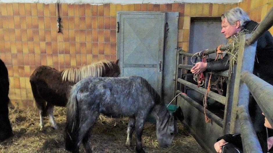 Frank Weber möchte zwei Ponyfohlen retten Frank Weber möchte zwei Ponyfohlen retten