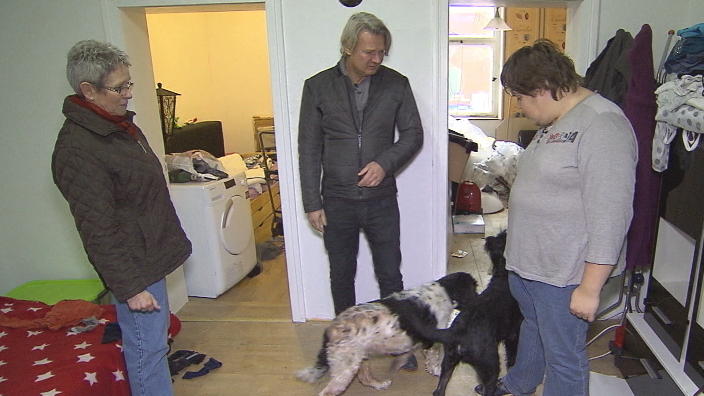 Sven ist mit Nelly und Rusty überfordert Sven ist mit Nelly und Rusty überfordert