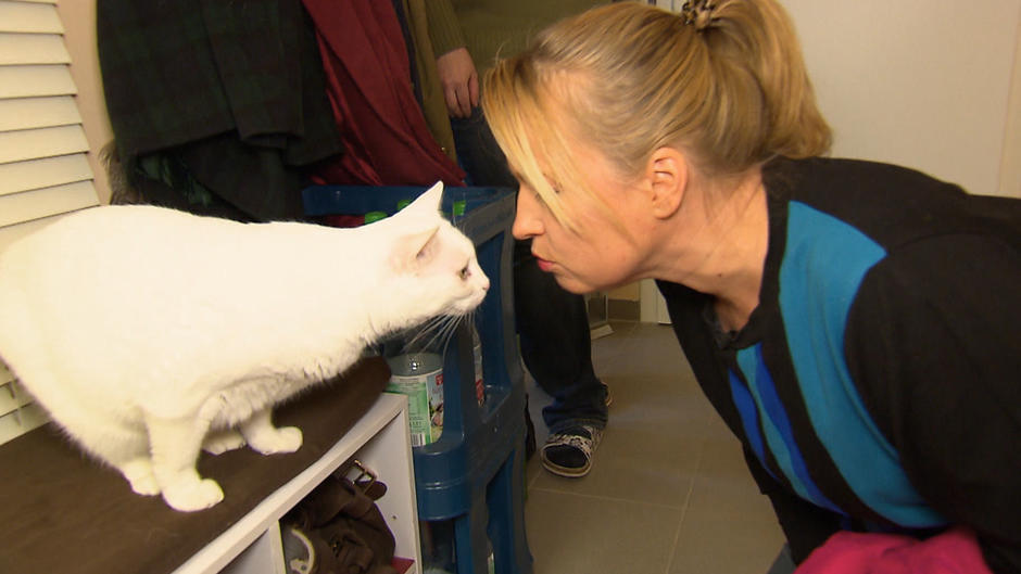 Katze Kira greift jeden Menschen an Katze Kira greift jeden Menschen an
