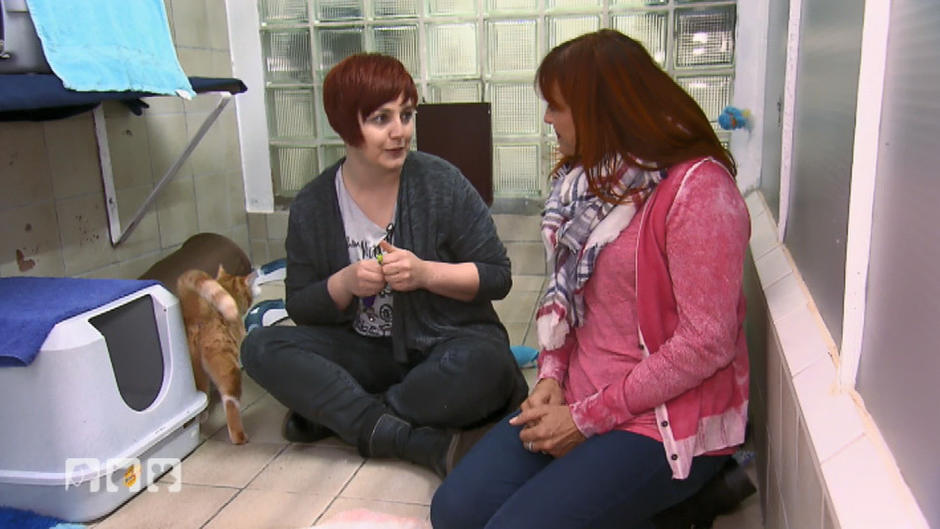 Diana besucht die "Katzenschmuser" Diana besucht die "Katzenschmuser"