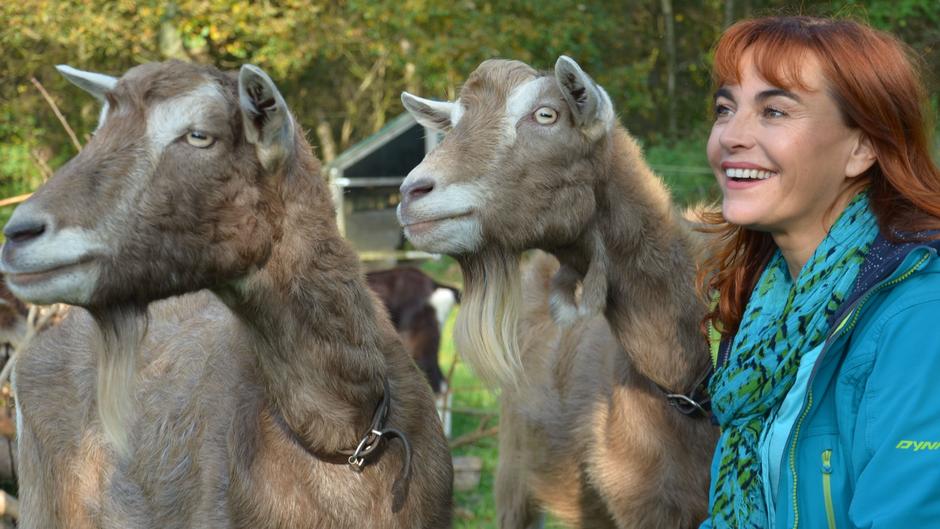 Diana betreut zwei junge Ziegen bei ihrer Ausbildung Diana betreut zwei junge Ziegen bei ihrer Ausbildung