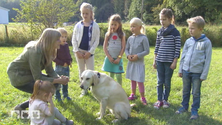 Die wichtigsten Verhaltensregeln Die wichtigsten Verhaltensregeln