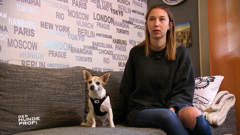 Bonnie benutzt die ganze Wohnung als Hundeklo Bonnie benutzt die ganze Wohnung als Hundeklo