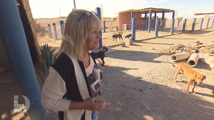 Helga und ihr Gnadenhof für Tiere Helga und ihr Gnadenhof für Tiere