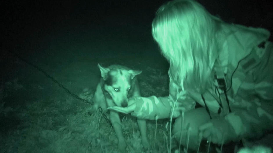 Judith Pein entdeckt vernachlässigte Hunde Judith Pein entdeckt vernachlässigte Hunde