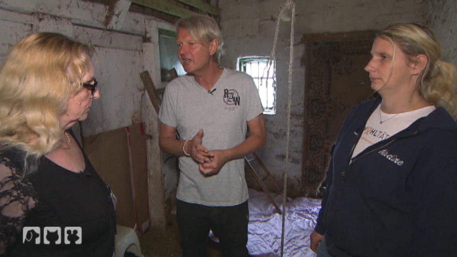 Findet Frank Weber ein Zuhause für die Streunerkatzen? Findet Frank Weber ein Zuhause für die Streunerkatzen?