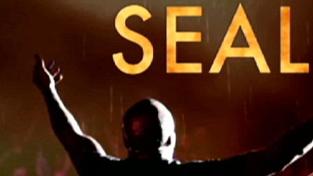 Seal und sein neues Album "Seal 6: Commitment" Seal und sein neues Album "Seal 6: Commitment"