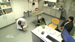 Dr. Henning Schenk muss alle Register ziehen Dr. Henning Schenk muss alle Register ziehen