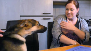 Linda traut sich kaum noch ins Haus Linda traut sich kaum noch ins Haus