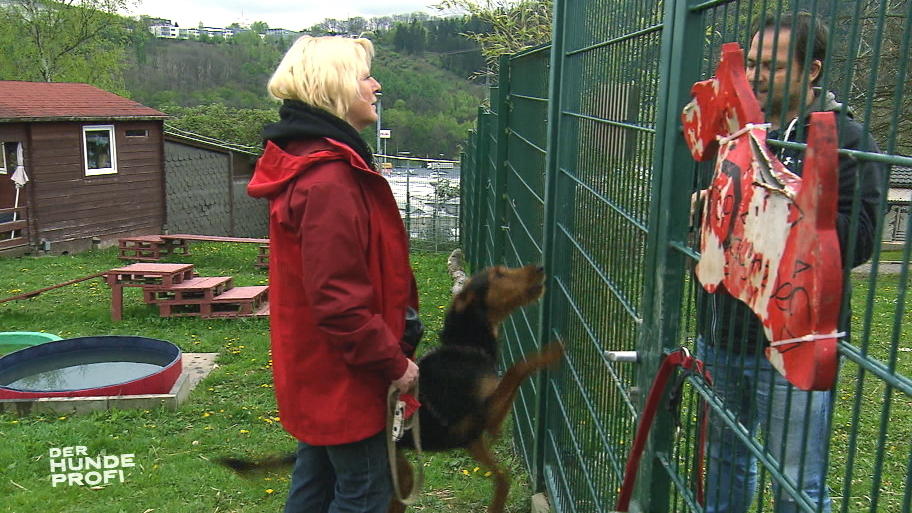 Tammo reagiert aggressiv auf Männer Tammo reagiert aggressiv auf Männer