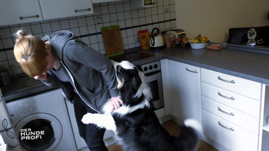 Lewis steht ständig unter Strom Lewis steht ständig unter Strom