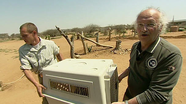 Dr. Wolf unterwegs in Namibia Teil 1 Dr. Wolf unterwegs in Namibia Teil 1