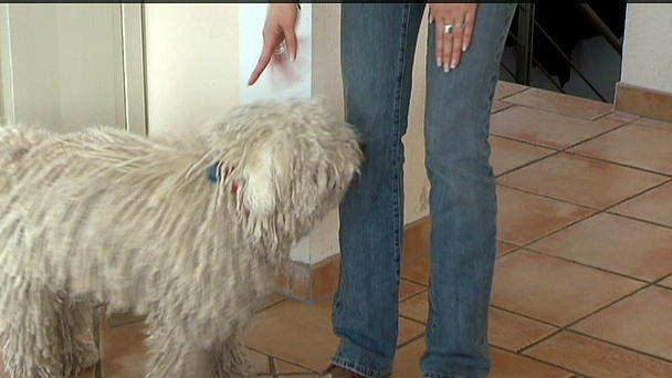Paul maßregelt seine Menschen Paul maßregelt seine Menschen