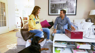 Martin gibt Tipps zum Umgang mit Baby und Hund Martin gibt Tipps zum Umgang mit Baby und Hund