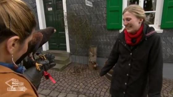 Ein Habicht bringt die frohe Botschaft Ein Habicht bringt die frohe Botschaft