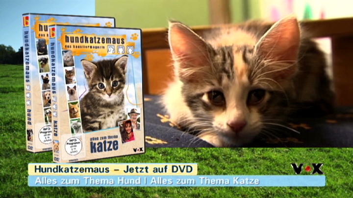 hundkatzemaus DVD hundkatzemaus DVD