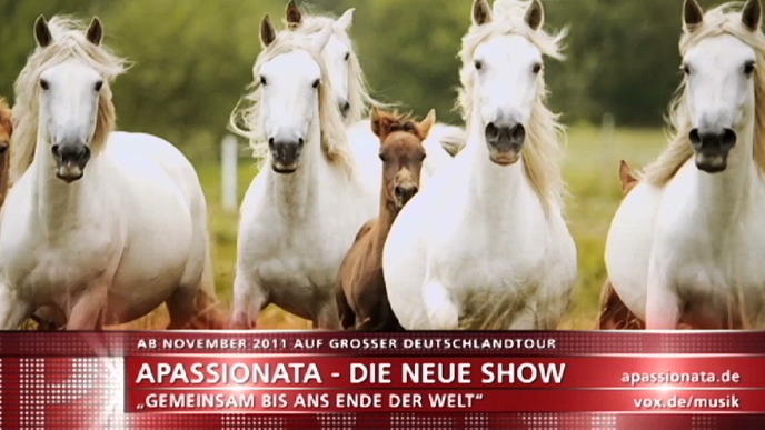 Eine Magischen Begegnungen zwischen Mensch und Pferd Eine Magischen Begegnungen zwischen Mensch und Pferd