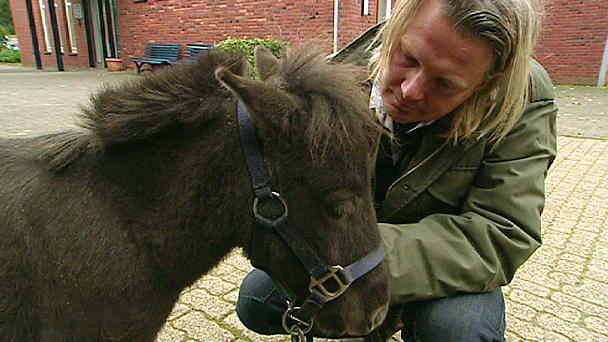 Rettung für ein Minishetlandpony Rettung für ein Minishetlandpony