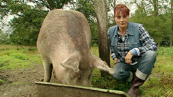 Ein Paradies für Schweine Ein Paradies für Schweine