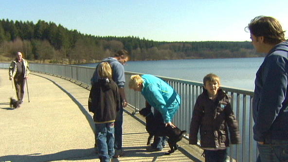 Balou bellt andere Hunde an Balou bellt andere Hunde an