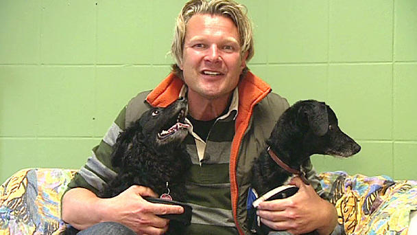 Hundeduo sucht neues Zuhause Hundeduo sucht neues Zuhause