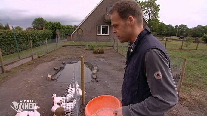 Horst und seine Hühner Horst und seine Hühner
