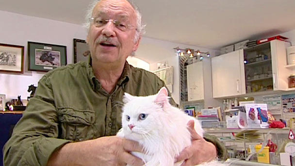 Abkühlung für Katzen Abkühlung für Katzen