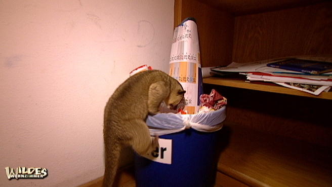 Wickelbär bringt Schwung in den Schulunterricht Wickelbär bringt Schwung in den Schulunterricht
