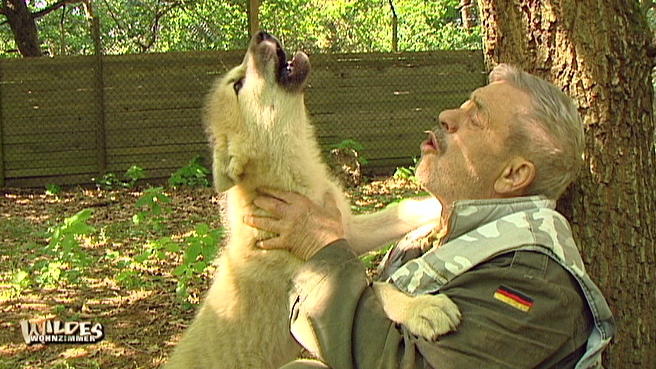 Am Anfang war der Wolf... Am Anfang war der Wolf...